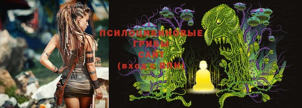 бутират Лагань