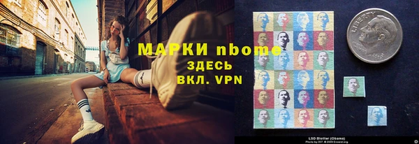 мдпв Лабытнанги