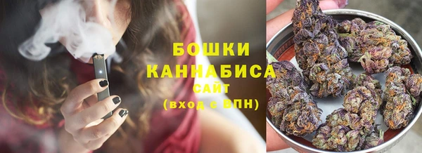 бутират Лагань