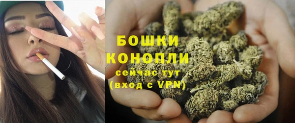 бутират Лагань